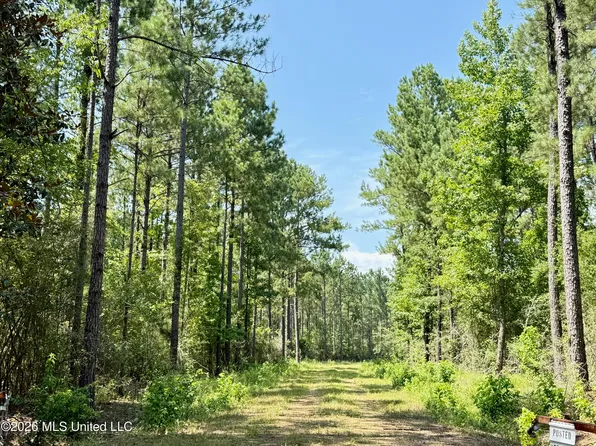 Storey Parkman Rd, Oak Vale, MS 39656