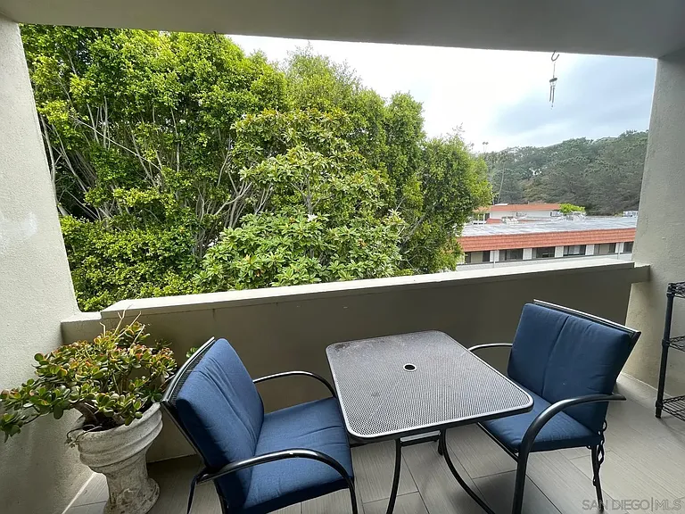 2510 Torrey Pines Rd #413 — Photo 11