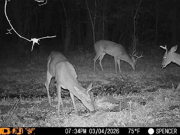 Screenshot 20260304 193604