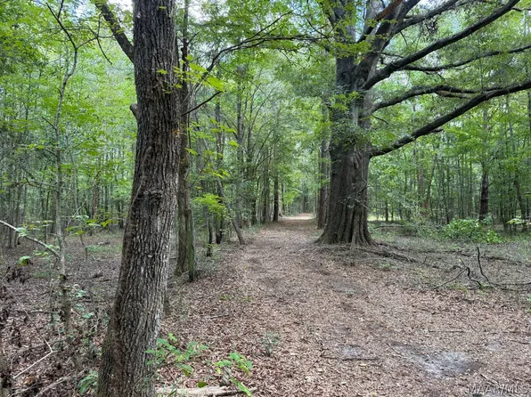 0 County Road 4 Rd, Fitzpatrick, AL 36029