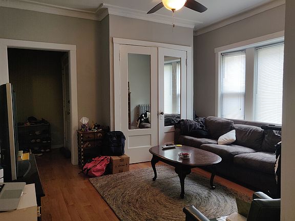 Living Room (south-facing windows)