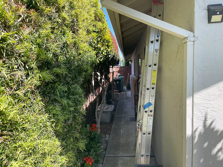 4201 Sedge St — Photo 41