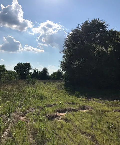 Manuel Rd — Photo 8