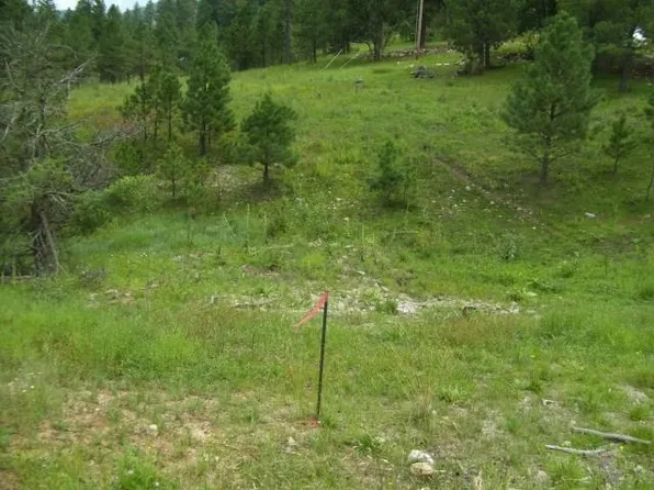 Koty Bear Ln, Cloudcroft, NM 88317