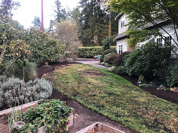 Front yard (grass restoring)