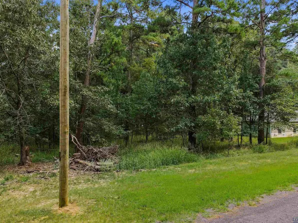 Tbd Lock Mountain Rd, Avinger, TX 75630