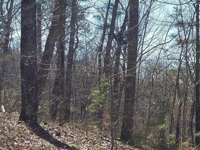 1st image of 780 Blue Beech Dr