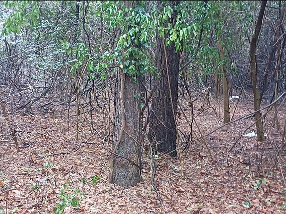 2nd image of 730 Shaw Rd