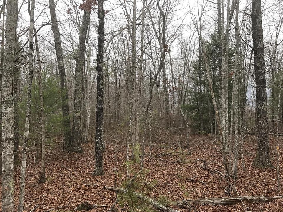 2nd image of Renee Dr