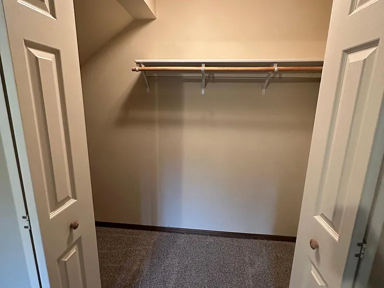basement bedroom 1 closet