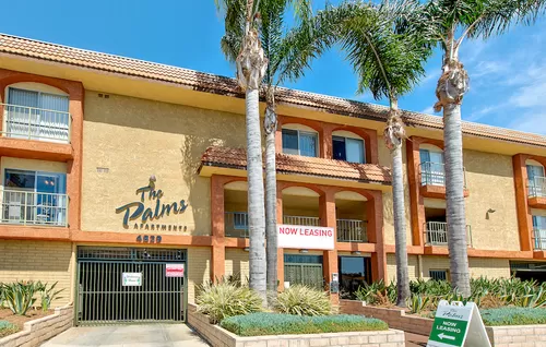 Primary Photo - The Palms Apartments