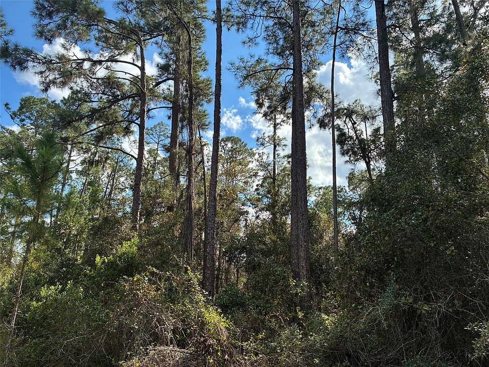1st image of Lot 15 Park Avenue