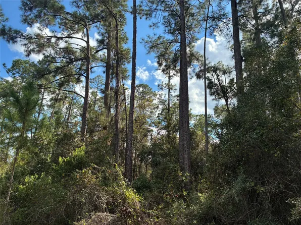 Lot 15 Park Avenue, Indian Lake Estates, FL