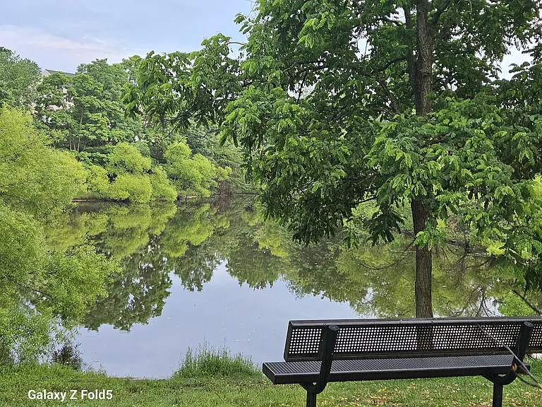 Imagine enjoying the tranquil water view from this bench.