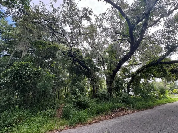 Leesburg Boulevard Lot #11, Fruitland Park, FL 34731