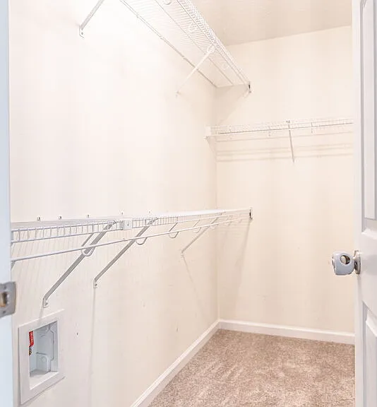 131 River Birch Ln — Photo 15