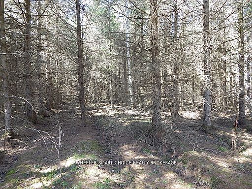 5th image of 0 Raymond Rd