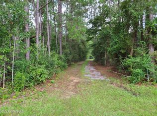 17420 Cj Dellie Rd, Saucier, MS 39574