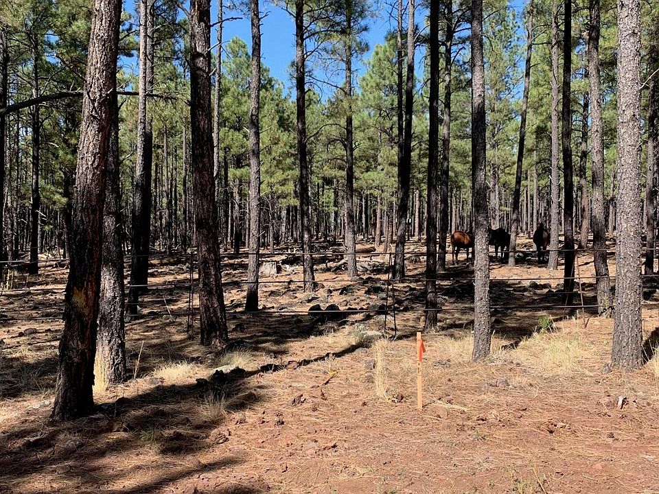 2nd image of TBD Dynamite Road #-