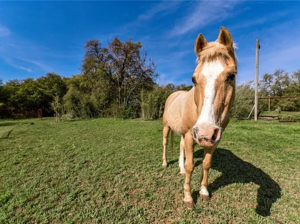 710 Bell Springs Rd, Dripping Springs, TX 78620