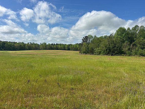 3rd image of 0 Highway 55 Byp
