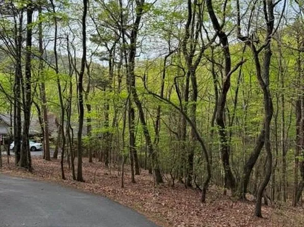 226 Crested Fern Ln #2146, Jasper, GA 30143