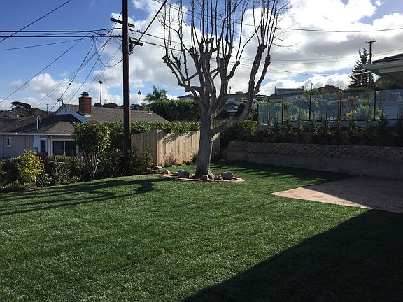Back yard