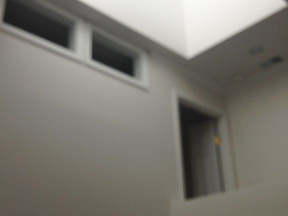 4th image of 1010 Honeycreek Dr