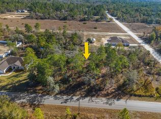 Dusky Warbler Rd LOT 5, Brooksville, FL 34614