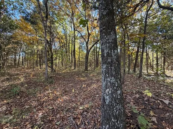 25 Acres S 90th Road, Flemington, MO 65650