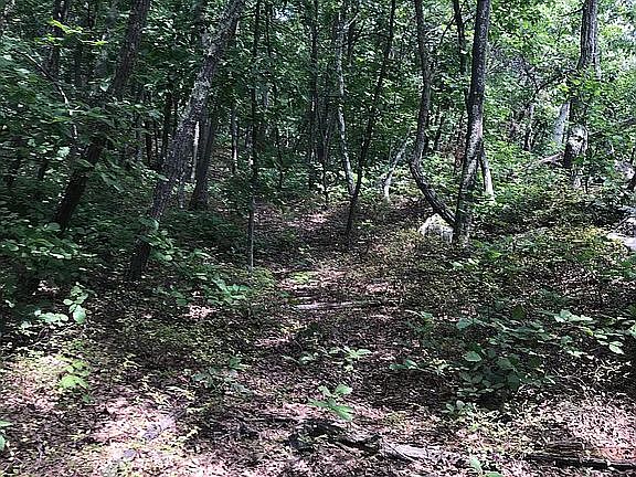 3rd image of 85 Jersey Ave
