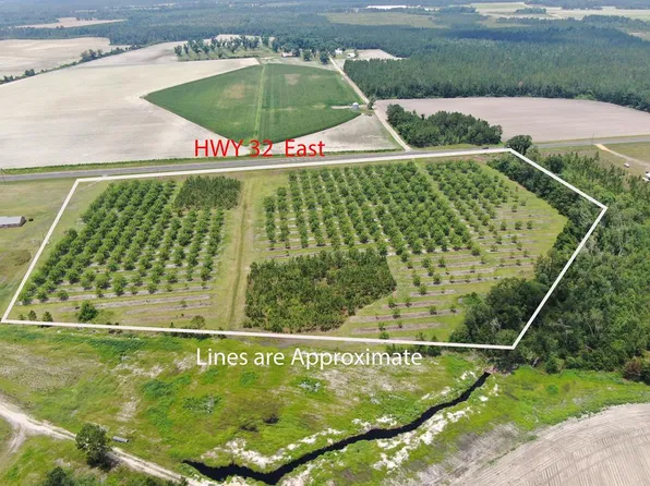 0 E Highway 32, Nicholls, GA 31554