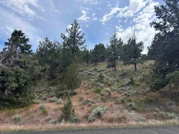 Unit 3 Lakeshore Lot 6, Weed, CA 96094