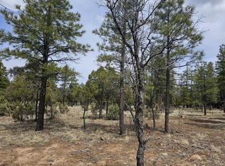 2825 Timber Ridge Cir, Happy Jack, AZ 86024