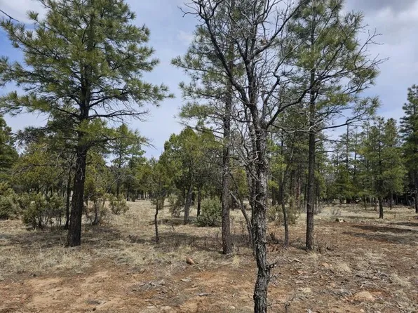 2825 Timber Ridge Cir, Happy Jack, AZ 86024