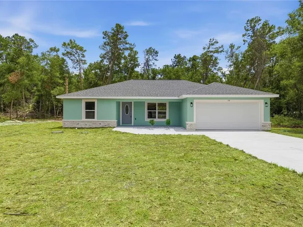10 BAY LANE, OCKLAWAHA, FL 32179