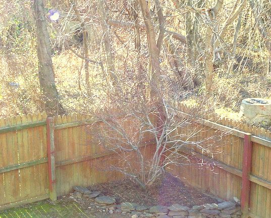 Think Spring Landscaping