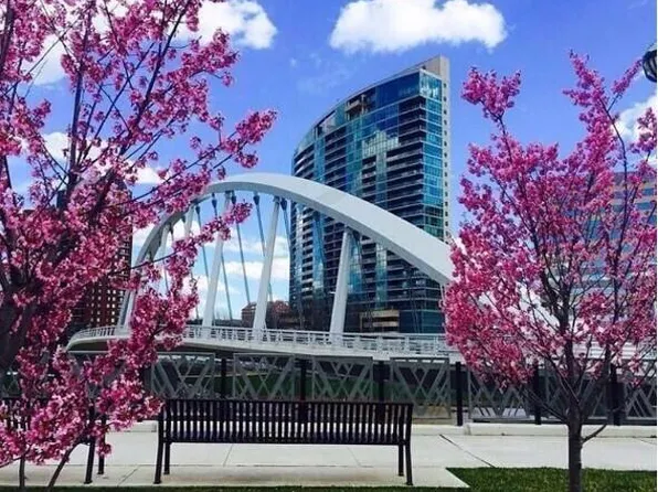 1 Miranova Pl APT 2005, Columbus, OH 43215