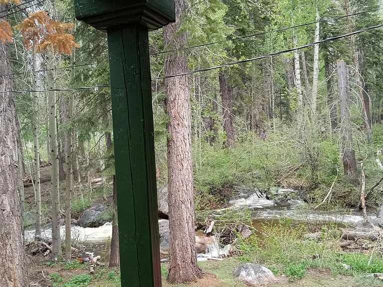 1032 Grass Lake Way — Photo 6