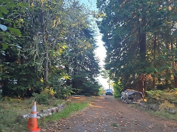 5th image of 14203 Lyle Point Rd