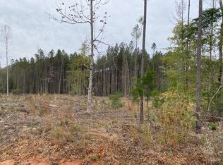 2 Robert Moore Rd, Chunky, MS 39323