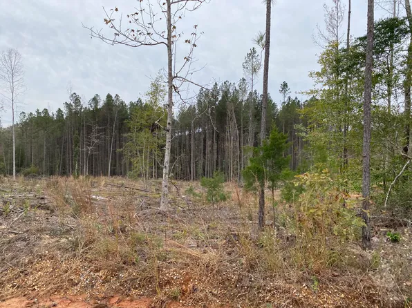 2 Robert Moore Rd, Chunky, MS 39323