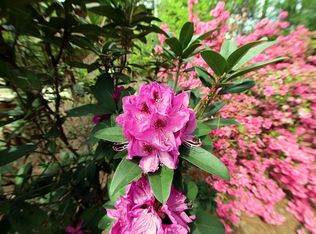 85 Magnolia Ave, Pinehurst, NC 28374