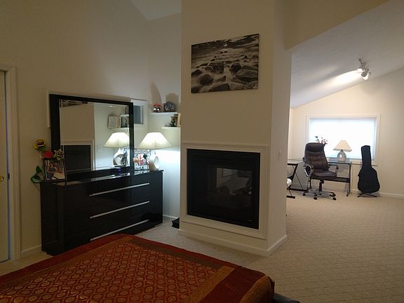 Fireplace and Den