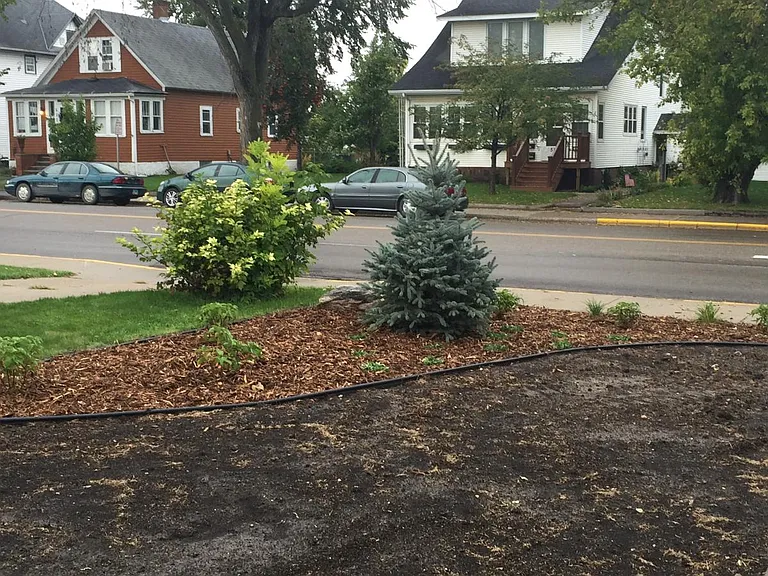 Backyard (West Side)