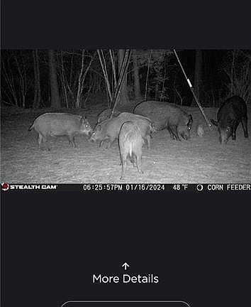 4th image of 1530 Old Middleton Rd