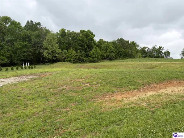 LOT 2G Fountain View Dr, Leitchfield, KY 42754