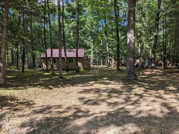 1640 W Bartlett Rd, Baldwin, MI 49304