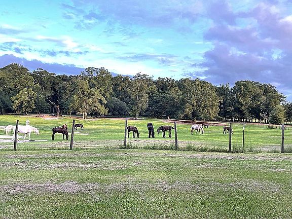 One of the Back pastures