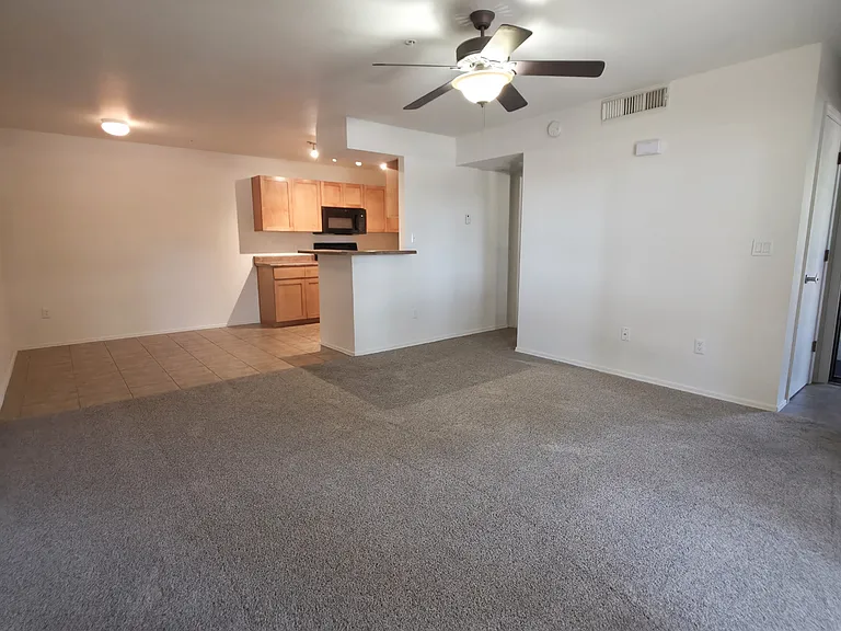 1185 W University Ave #13 — Photo 10